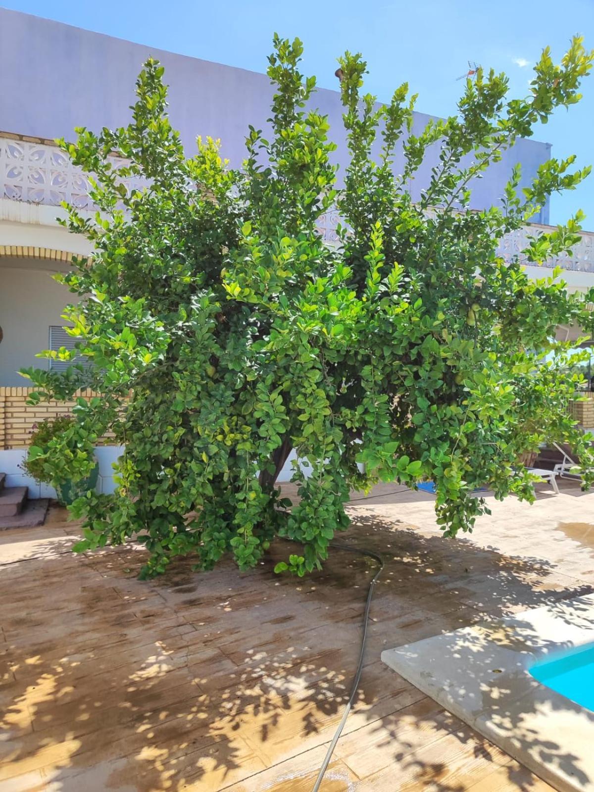 El Recreo, Private Pool & Bbq Vila Godelleta Exterior foto